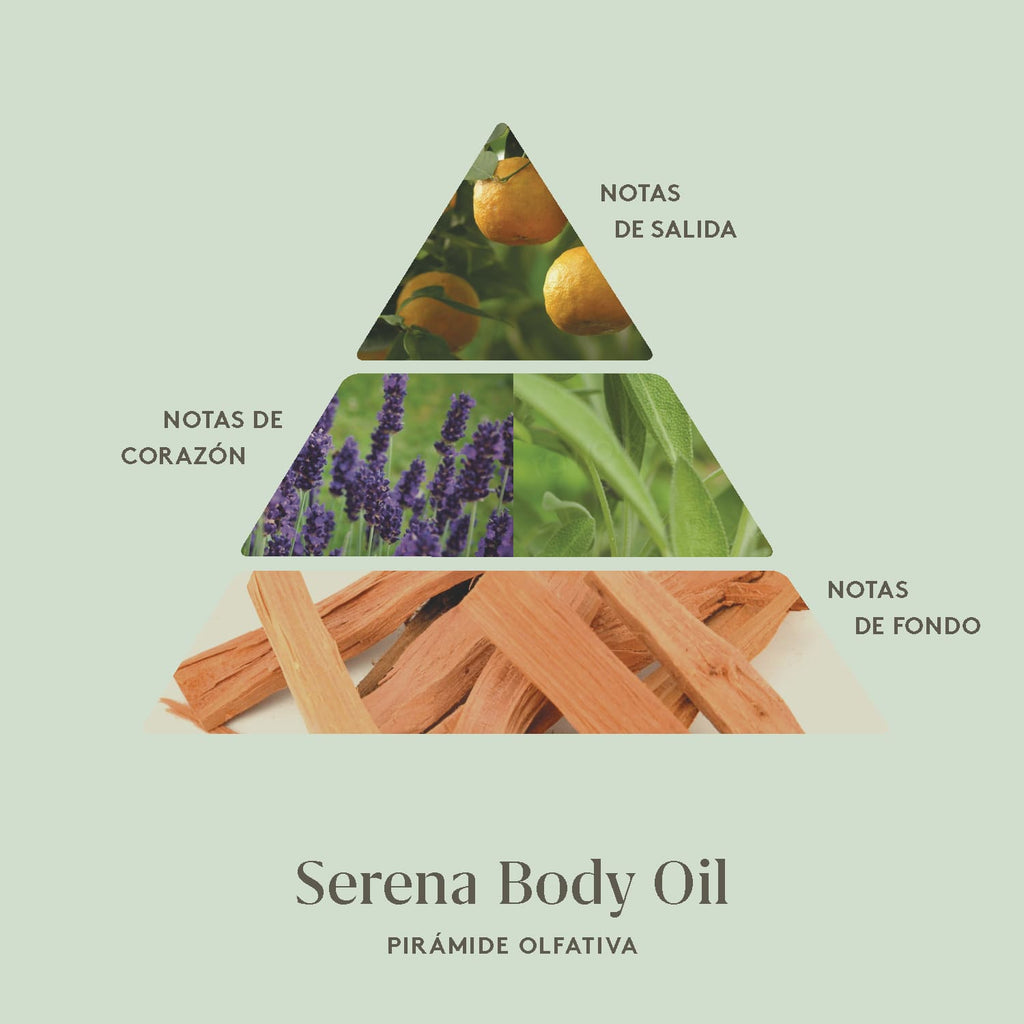 La pirámide olfativa de Serena Body Oil