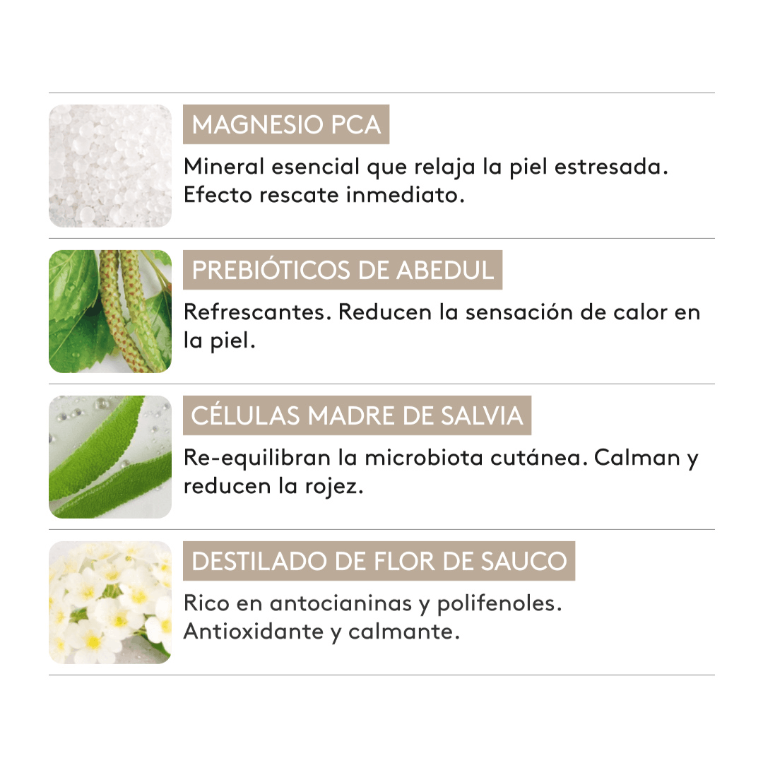 Bruma refrescante para sofocos con salvia, prebioticos de abedul, magnesio PCA y flor de sauco